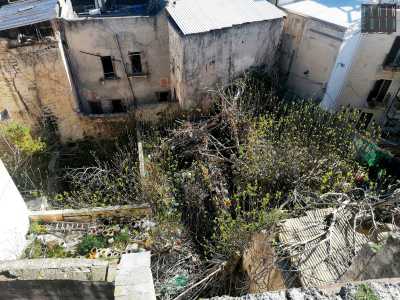 Da questa posizione possiamo anche avere una visuale completa dell�ampio giardino del palazzo. Ma quello che un tempo doveva rappresentare il pi� grande e raffinato parco della citt� vecchia...
